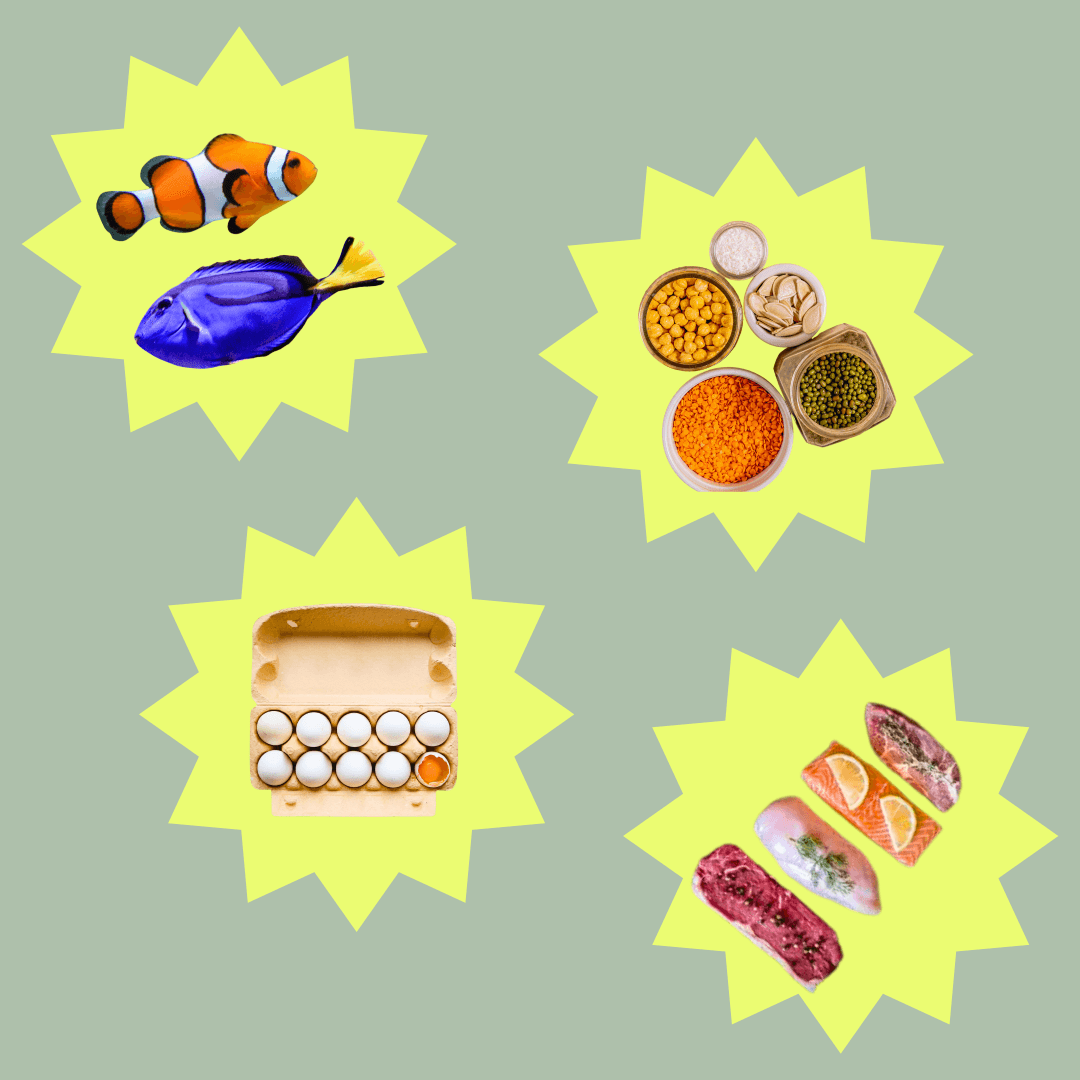 Most women don’t eat enough protein—The protein gap undermining female fertility