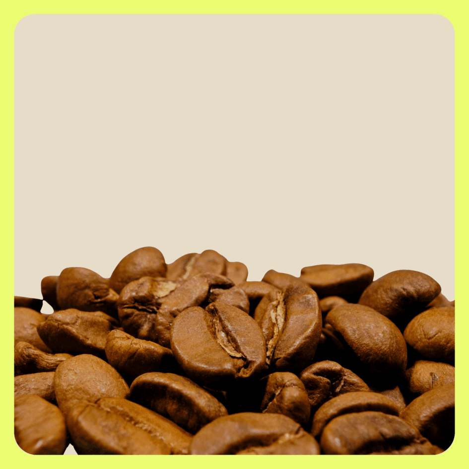 Spilling the beans: How coffee impacts fertility