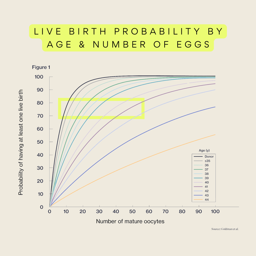 Egg Freezing: What does it really take for success?